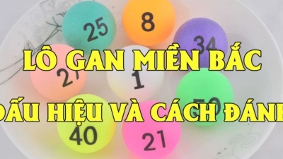 Ưu điểm tuyệt vời của việc nuôi lô gan trong xổ số miền Bắc